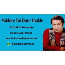 Pakhire tui dure thakle Audio Karaoke