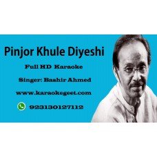 Pinjor khule diyeshi Audio Karaoke