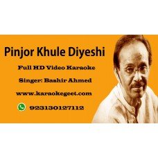 Pinjor khule diyeshi Video Karaoke